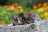 mattiandmaria11days498_small.jpg