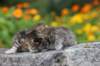 mattiandmaria11days499_small.jpg