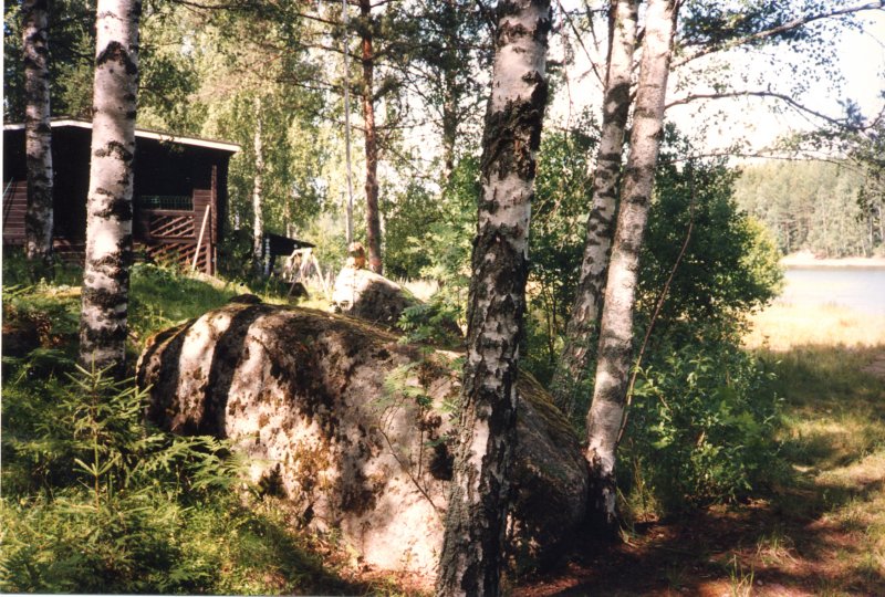 huvilakoivujenkatveessa2.jpg