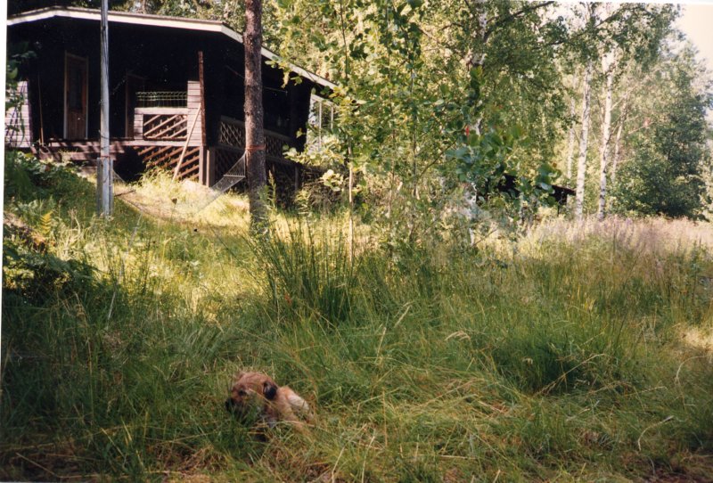 virolahdenrantahuvila2.jpg