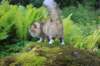 mocca10months24817_small.jpg