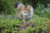 mocca10months24826_small.jpg