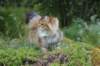 mocca10months24827_small.jpg