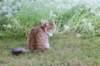 mocca10months24830_small.jpg