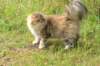 mocca10months24833_small.jpg