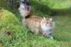 mocca10months24845_small.jpg