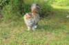 mocca10months24850_small.jpg