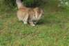 mocca10months24852_small.jpg