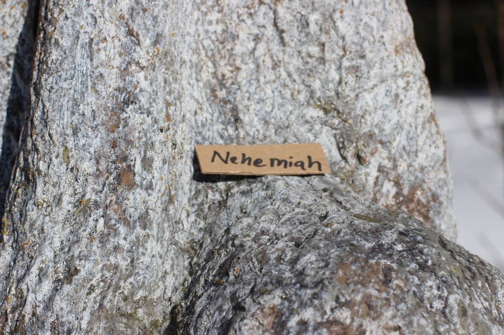 nehemiah.jpg