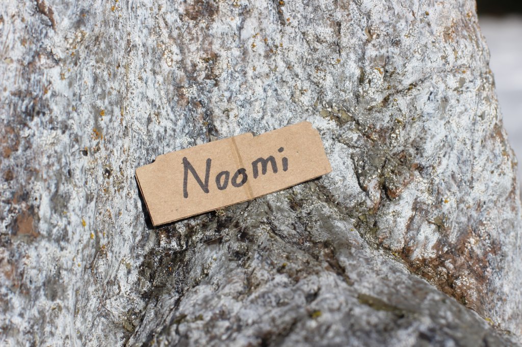 noomi.jpg