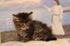 img_5746_small.jpg