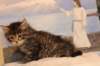 img_5751_small.jpg