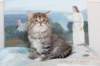 noomi8weeks1922018_small.jpg