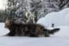 nataniamelkein12viikoa12226_small.jpg