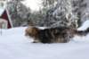 nataniamelkein12viikoa12227_small.jpg