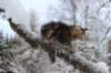 nataniamelkein12viikoa12240_small.jpg