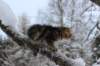 nataniamelkein12viikoa12241_small.jpg