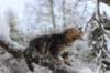 nataniamelkein12viikoa12254_small.jpg
