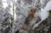 noamelkein12viikoa12218_small.jpg