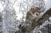 noamelkein12viikoa12222_small.jpg
