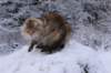 img_4590_small.jpg