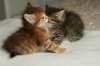 nooaandnaomi13_small.jpg