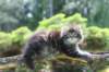 onesimus8viikkoa9624_small.jpg