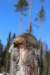 img_8533_small.jpg