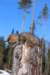img_8534_small.jpg