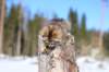 img_8546_small.jpg