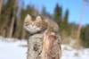 img_8549_small.jpg