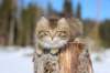 img_8550_small.jpg