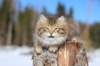 img_8551_small.jpg