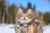img_8552_small.jpg