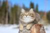img_8555_small.jpg