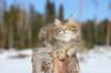 img_8562_small.jpg