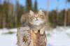 img_8563_small.jpg
