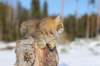 img_8564_small.jpg
