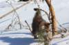 img_8571_small.jpg