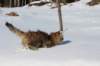 img_8572_small.jpg