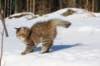 img_8665_small.jpg