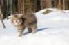 img_8670_small.jpg
