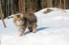 img_8671_small.jpg