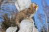 img_8183_small.jpg