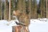 img_8304_small.jpg