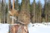 img_8310_small.jpg
