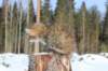 img_8312_small.jpg