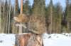 img_8313_small.jpg