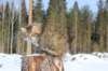 img_8314_small.jpg