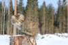 img_8315_small.jpg